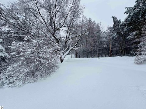 Tiny photo for 5651 N Seeley Road, Manton, MI 49663 (MLS # 1943076)