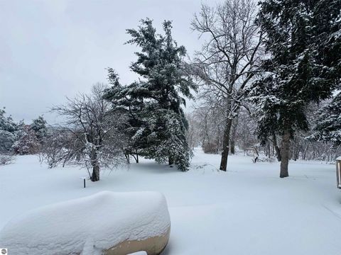 Tiny photo for 5651 N Seeley Road, Manton, MI 49663 (MLS # 1943076)