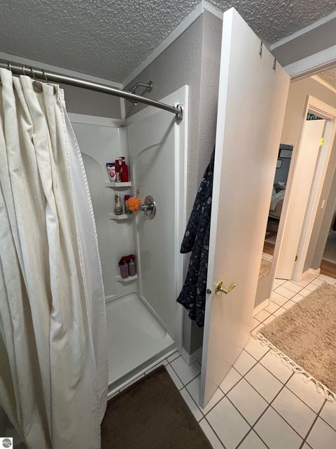 Tiny photo for 6715 Shanty Creek Road, Bellaire, MI 49615 (MLS # 1944329)