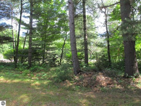 Tiny photo for 11052 N Hodenpyle Dam Road, Mesick, MI 49668 (MLS # 1946911)