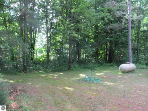 Tiny photo for 11052 N Hodenpyle Dam Road, Mesick, MI 49668 (MLS # 1946911)