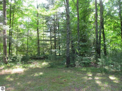 Tiny photo for 11052 N Hodenpyle Dam Road, Mesick, MI 49668 (MLS # 1946911)
