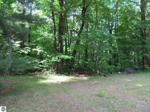 Tiny photo for 11052 N Hodenpyle Dam Road, Mesick, MI 49668 (MLS # 1946911)