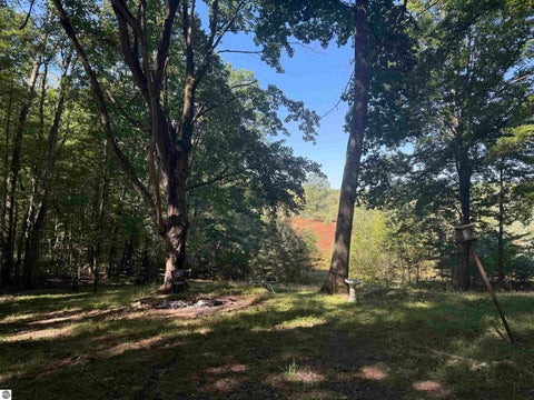 Tiny photo for 128 W Ridge Circle, Leroy, MI 49655 (MLS # 1950640)
