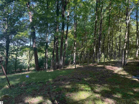 Tiny photo for 128 W Ridge Circle, Leroy, MI 49655 (MLS # 1950640)