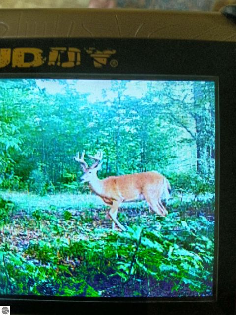 Tiny photo for 13544 Aylsworth Road, Beulah, MI 49617 (MLS # 1942790)