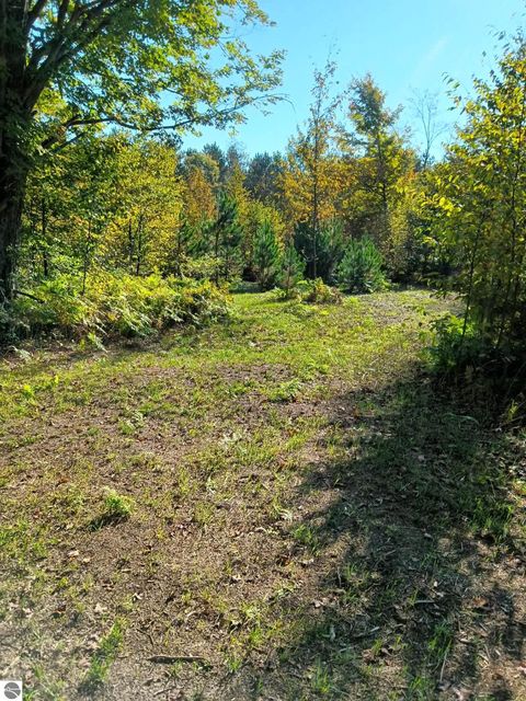 Tiny photo for 13544 Aylsworth Road, Beulah, MI 49617 (MLS # 1942790)