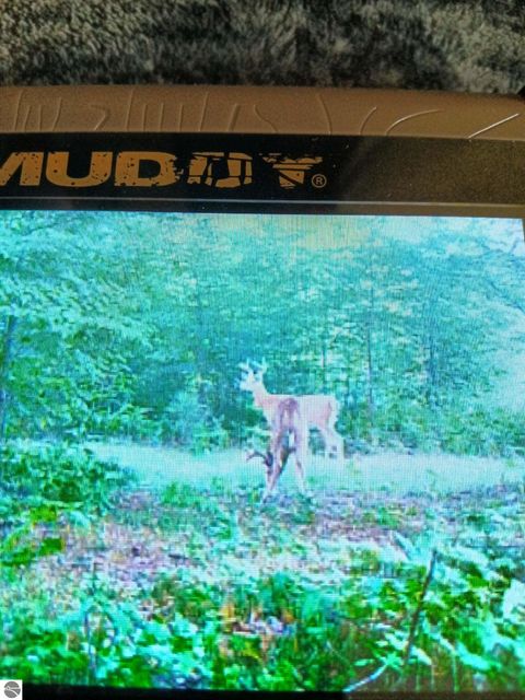 Tiny photo for 13544 Aylsworth Road, Beulah, MI 49617 (MLS # 1942790)