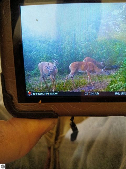 Tiny photo for 13544 Aylsworth Road, Beulah, MI 49617 (MLS # 1942790)