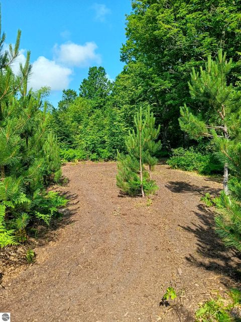 Tiny photo for 13544 Aylsworth Road, Beulah, MI 49617 (MLS # 1942790)