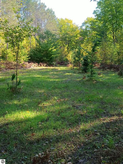 Tiny photo for 13544 Aylsworth Road, Beulah, MI 49617 (MLS # 1942790)