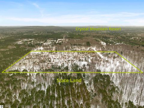 Tiny photo for 13544 Aylsworth Road, Beulah, MI 49617 (MLS # 1942790)