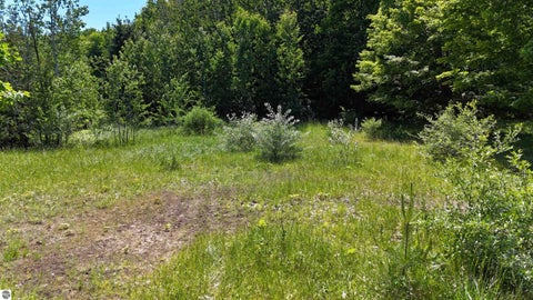 Tiny photo for 14857 Mallard Drive, Traverse City, MI 49686 (MLS # 1947127)