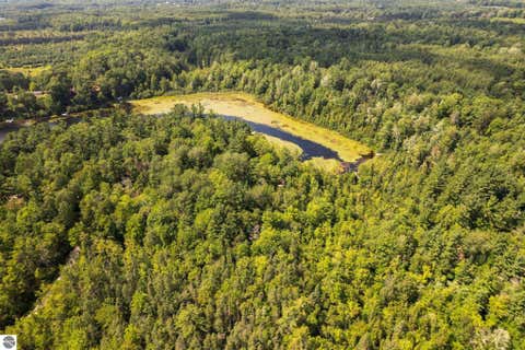 Tiny photo for 9556 SW Long Lake Drive, Fife Lake, MI 49633 (MLS # 1949048)