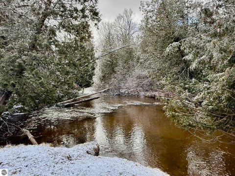 Tiny photo for 751 Hunters Ridge, Marion, MI 49665 (MLS # 1942975)