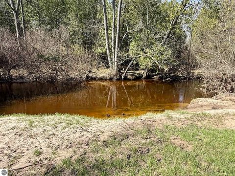 Tiny photo for 751 Hunters Ridge, Marion, MI 49665 (MLS # 1942975)