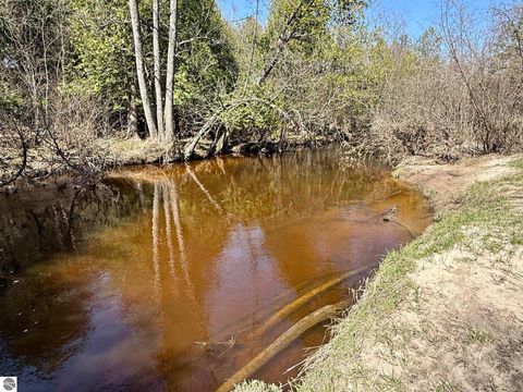 Tiny photo for 751 Hunters Ridge, Marion, MI 49665 (MLS # 1942975)