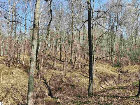 Tiny photo for 751 Hunters Ridge, Marion, MI 49665 (MLS # 1942975)