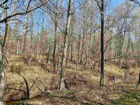 Tiny photo for 751 Hunters Ridge, Marion, MI 49665 (MLS # 1942975)