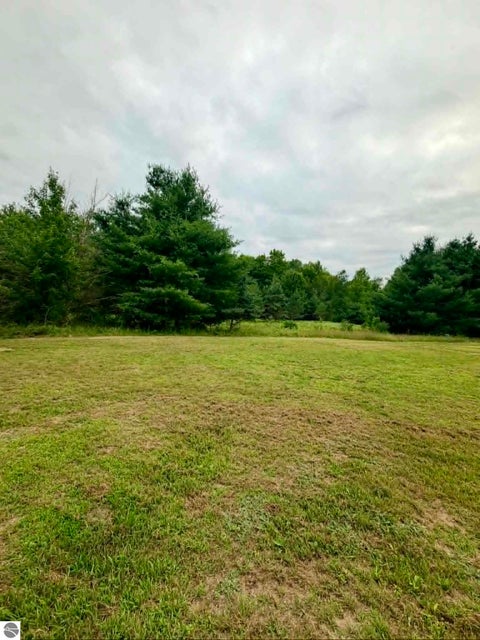 Tiny photo for 6300 N Nelson Road, Lake City, MI 49651 (MLS # 1948684)
