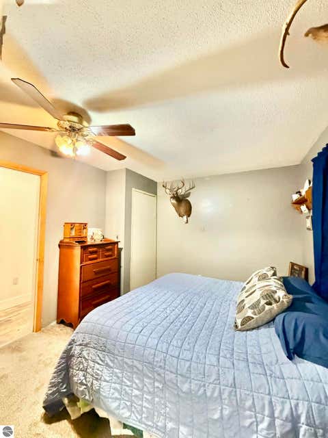 Tiny photo for 6300 N Nelson Road, Lake City, MI 49651 (MLS # 1948684)