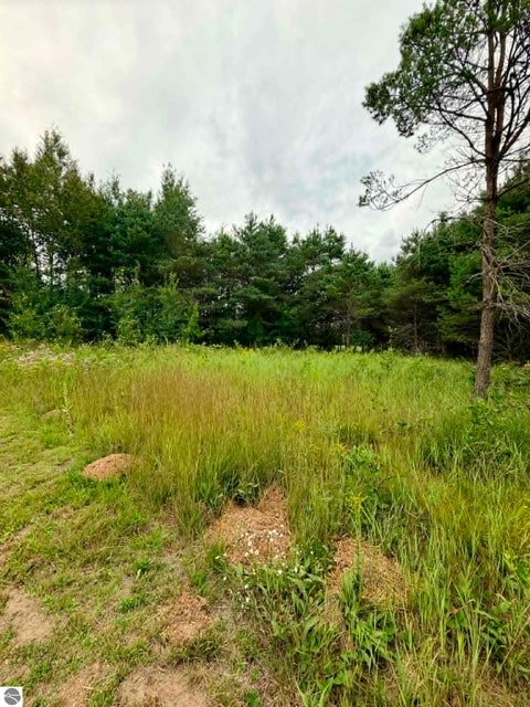 Tiny photo for 6300 N Nelson Road, Lake City, MI 49651 (MLS # 1948684)