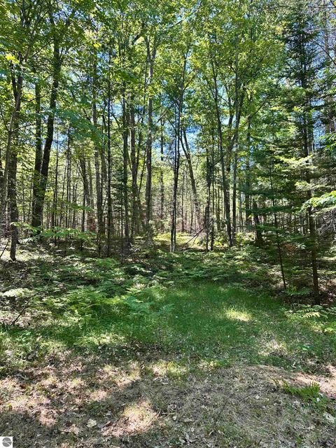 Tiny photo for 11556 Hillcrest Boulevard, Kalkaska, MI 49646 (MLS # 1947142)