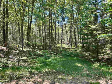 Tiny photo for 11556 Hillcrest Boulevard, Kalkaska, MI 49646 (MLS # 1947142)