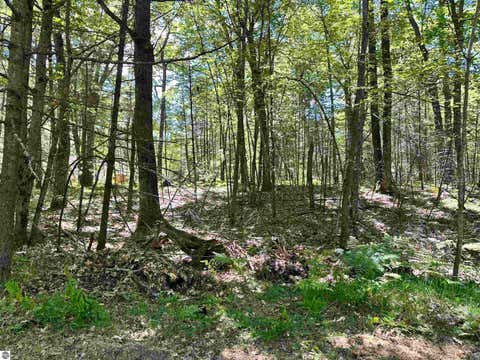 Tiny photo for 11556 Hillcrest Boulevard, Kalkaska, MI 49646 (MLS # 1947142)