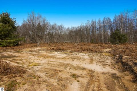 Tiny photo for 11095 Pleasant Ridge, Elmira, MI 49730 (MLS # 1946726)