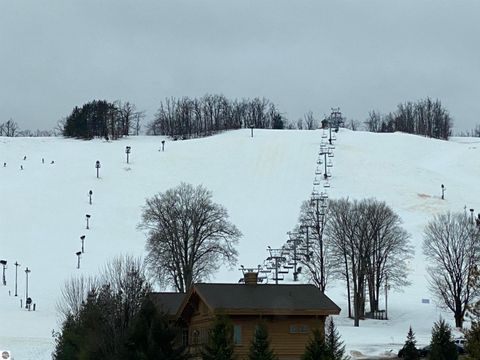 Tiny photo for 3057 Lynn Street, Boyne Falls, MI 49713 (MLS # 1941653)