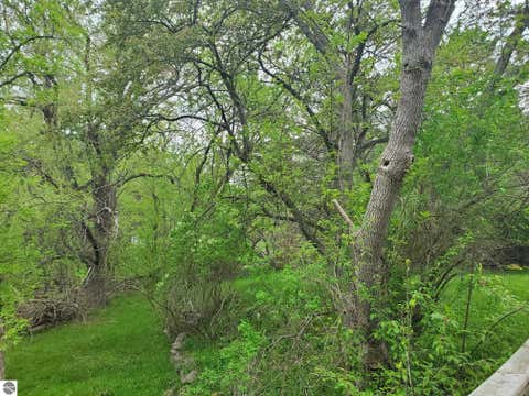 Tiny photo for 205 Highland, West Branch, MI 48661 (MLS # 1945439)
