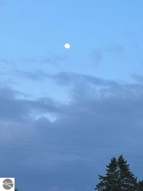 Tiny photo for 4355 Owl Drive, Lincoln, MI 48742 (MLS # 1944287)