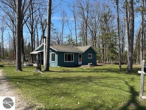 Photo of 4355 Owl Drive, Lincoln, MI 48742 (MLS # 1944287)