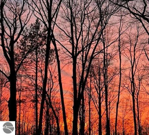 Tiny photo for 4355 Owl Drive, Lincoln, MI 48742 (MLS # 1944287)