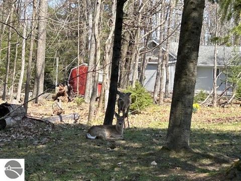 Tiny photo for 4355 Owl Drive, Lincoln, MI 48742 (MLS # 1944287)