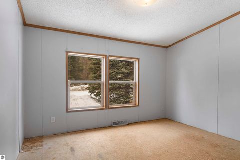 Tiny photo for 15055 Beecher Avenue, Thompsonville, MI 49683 (MLS # 1942764)