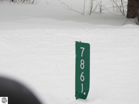 Tiny photo for 7861 N Bass Lake Road, Irons, MI 49644 (MLS # 1942543)