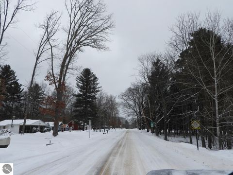 Tiny photo for 7861 N Bass Lake Road, Irons, MI 49644 (MLS # 1942543)