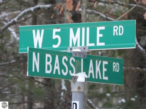 Tiny photo for 7861 N Bass Lake Road, Irons, MI 49644 (MLS # 1942543)
