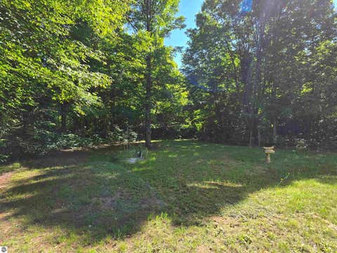 Tiny photo for 3878 Vista Valley Trail, Mesick, MI 49668 (MLS # 1948716)