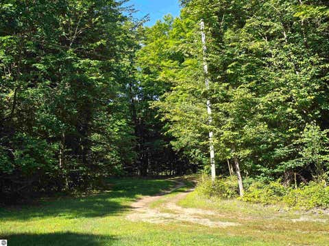 Tiny photo for 3878 Vista Valley Trail, Mesick, MI 49668 (MLS # 1948716)