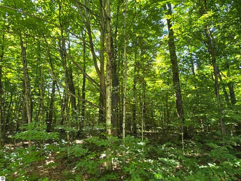 Tiny photo for 3878 Vista Valley Trail, Mesick, MI 49668 (MLS # 1948716)