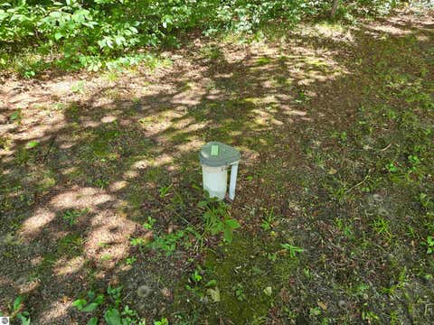 Tiny photo for 3878 Vista Valley Trail, Mesick, MI 49668 (MLS # 1948716)