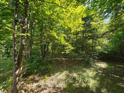 Tiny photo for 3878 Vista Valley Trail, Mesick, MI 49668 (MLS # 1948716)