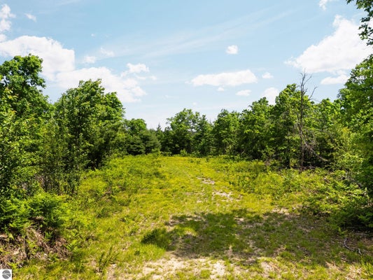 4011 W FOREST RD, LAKE CITY, MI 49651 - Image bcf9ee263f7748c735ec13efcef0e542/2997095377