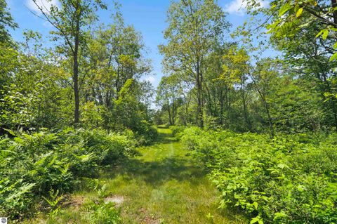Tiny photo for 6838 Williams Trail, Grayling, MI 49738 (MLS # 1947987)