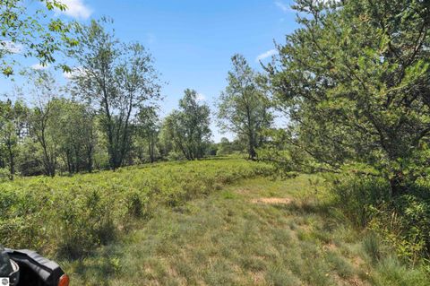 Tiny photo for 6838 Williams Trail, Grayling, MI 49738 (MLS # 1947987)
