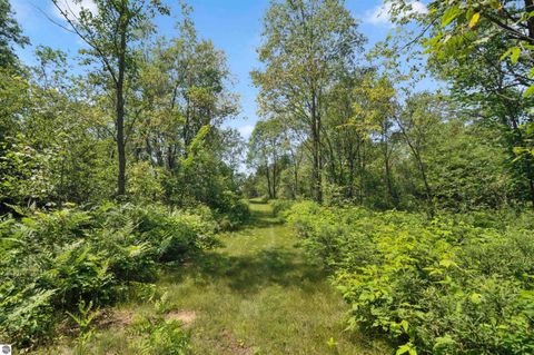 Tiny photo for 6838 Williams Trail, Grayling, MI 49738 (MLS # 1947987)