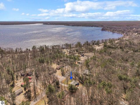 Tiny photo for 3320 W 13th Street, Cadillac, MI 49601 (MLS # 1944228)